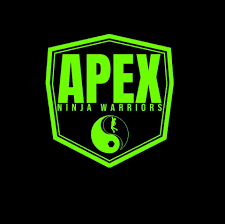 Apex Ninja Warrior