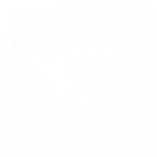 Crescent City Ninja