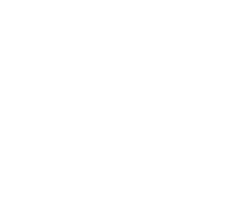 Regionals main logo white