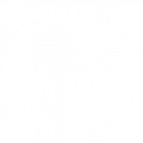 Steel City Ninja