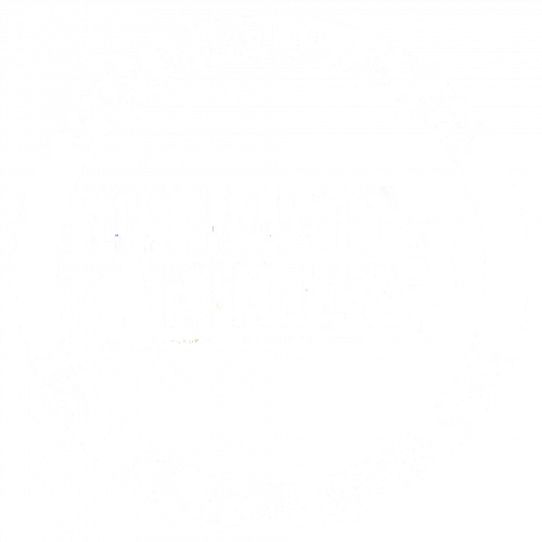 Ultimate Ninjas Tier 1 All Stars Logo